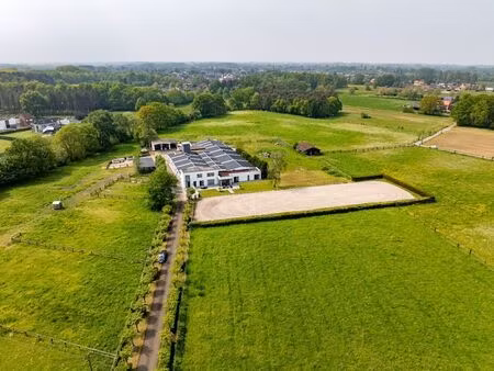 maison à vendre à herselt € 1.900.000 (lp2si) - immofluisteraar | zimmo