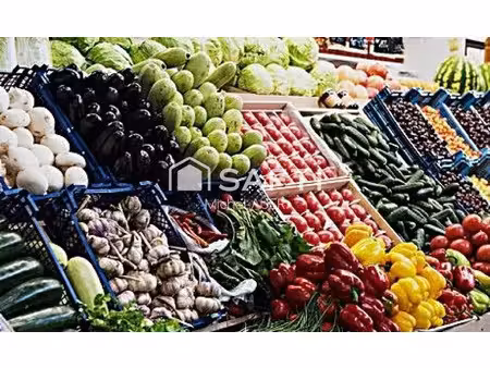 vente commerce 100 m² melesse (35520)