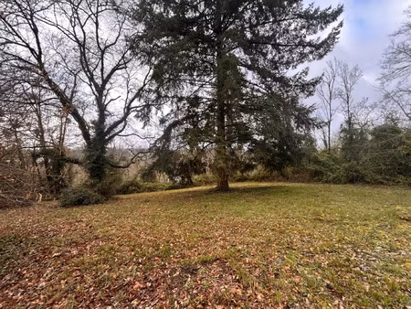 vente terrain 1190 m² le pont-chrétien-chabenet (36800)
