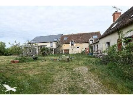vente maison 10 pièces 268 m² saint-hippolyte (37600)