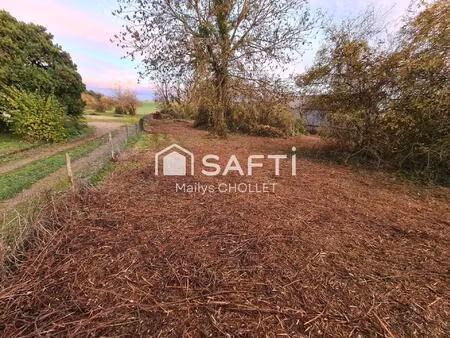 vente terrain 1565 m² sepmes (37800)