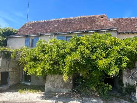 vente maison 3 pièces 88 m² ferrière-larçon (37350)
