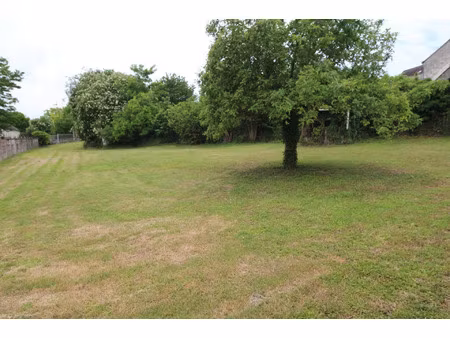 vente terrain 1066 m² loches (37600)