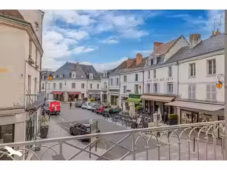 vente appartement 5 pièces 117 m² loches (37600)