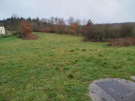 vente terrain 2997 m² dame-marie-les-bois (37110)