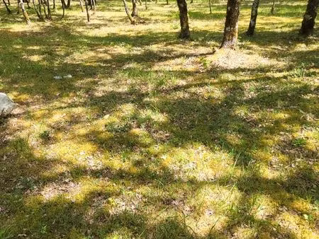 recherche terrain constructible