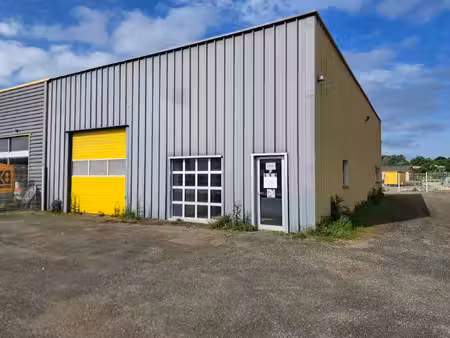 local professionnel 238 m2 avec parking