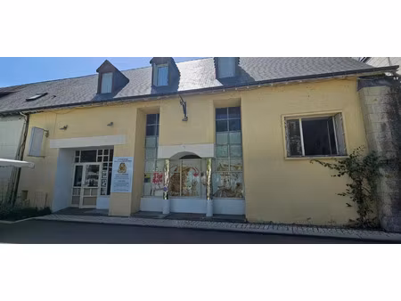 location commerce 120 m² à chinon (37500)