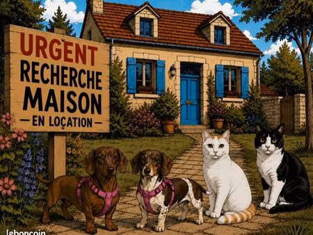 recherche maison en location