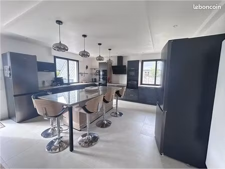 maison 8 pièces 251 m²
