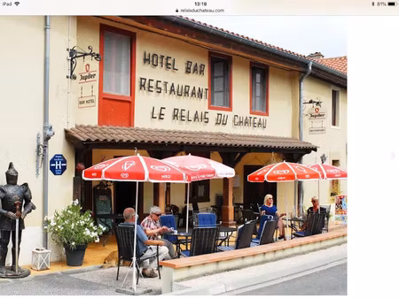 vente hôtel 14 pièces 585 m² à boulogne-sur-gesse (31350)  424 500 €