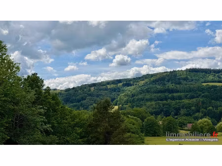 vente terrain à batir 1792 m² à ban-de-laveline (88520)  40 000 €