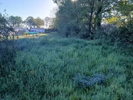 vente terrain 1048 m² à château-guibert (85320)  69 000 €