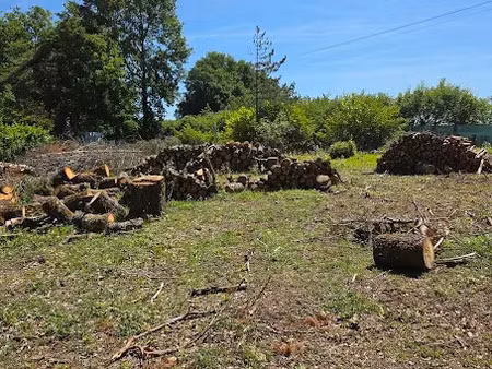 vente terrain 1043 m² à dirac (16410)  50 000 €