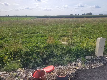 vente terrain 349 m² à staple (59190)  60 000 €