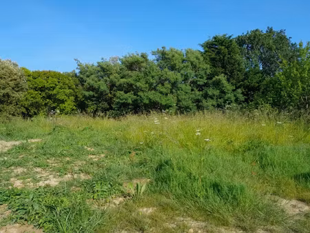 vente terrain 300 m² à vue (44640)  77 000 €