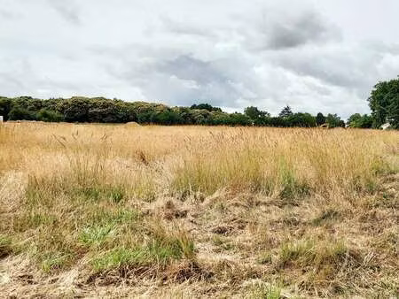 vente terrain à mouilleron-le-captif (85000) : à vendre / 338m² mouilleron-le-captif