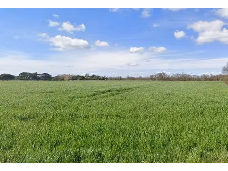 vente terrain 1100 m² à longages (31410)  90 000 €