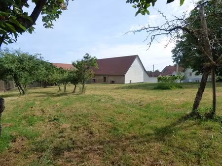 vente terrain 1133 m² à lupstein (67490)  158 000 €