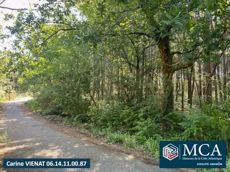vente terrain 508 m² à sanguinet (40460)  182 000 €
