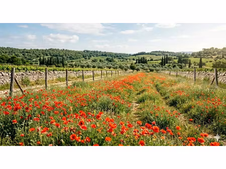 vente terrain 778 m² à noves (13550)  220 000 €