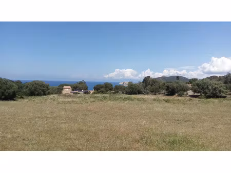 vente terrain à batir à corbara (20220)  600 000 €