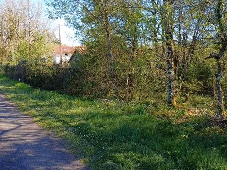 terrain 3250 m2