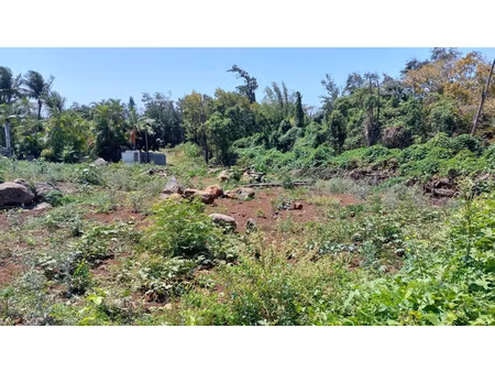 terrain de 1740m2 - zone artisanale - la mare - ste marie