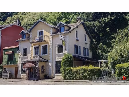 vente locaux professionnels 0 pièces 245 m² à sainte-croix-aux-mines (68160)  224 000 €