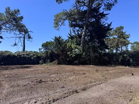 terrain mimizan plage 488 m² vue courant