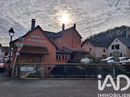 vente immeuble 0 pièces 627 m² à bourbach-le-bas (68290)  549 000 €