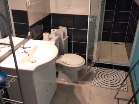location meublée appartement 1 pièce 24 m² à cavanac (11570)  600 €