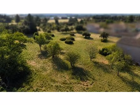 terrain à vendre  sorgues  constructible  5462 m²