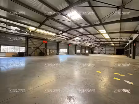 vente local d’activités jacou 34830 3832m²