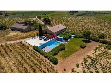domaine de prestige avec gîtes et vignoble dans le minervois