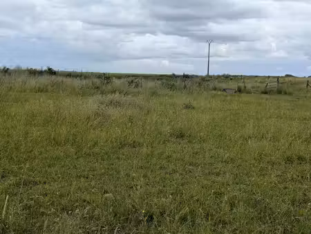 “le champ des possibles” – terrain constructible 962 m² libre de constructeur à ansauville