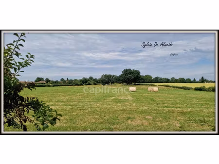 terrain à vendre bereziat 2493m2 73 000€