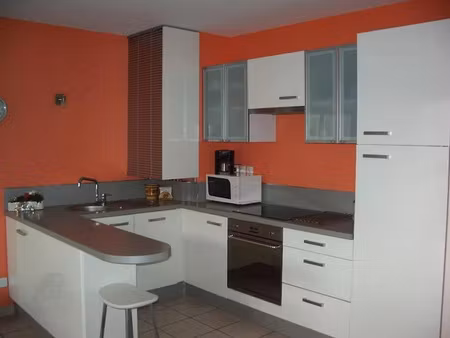 location appartement 3 pièces 73 m² à saint-etienne (42000)  720 €