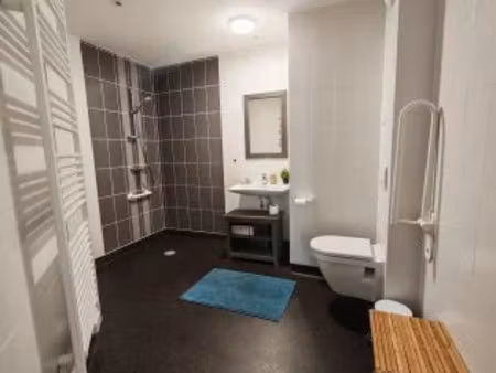 location meublée appartement 2 pièces 42 m² à colmar (68000)  900 €