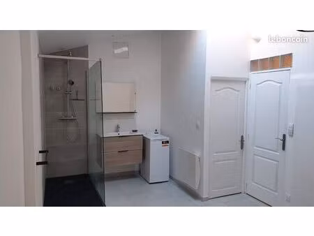 grand appartement lille loos chr