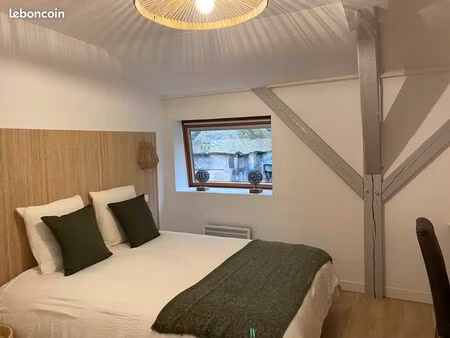 appartement meublé hyper centre  40m2