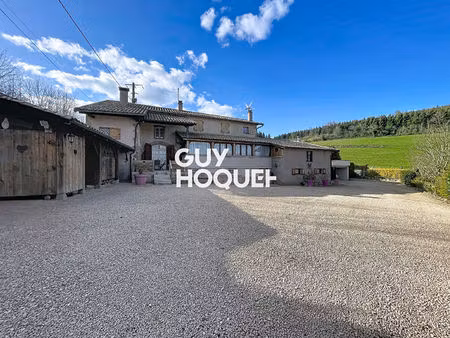 maison ancienne rénovée 4 chs avec dépendances et terrain de 12 107 m² environ - 69820 vau