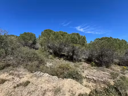 terrain agricole 2 440 m2 cadre naturel la livinière