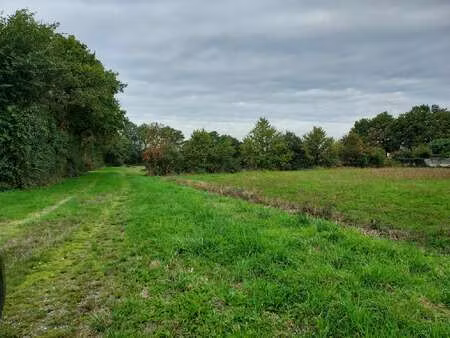 vente terrain à la garnache (85710) : à vendre / la garnache