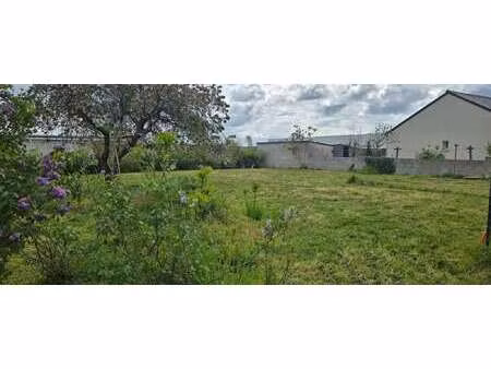vente terrain à nort-sur-erdre (44390) : à vendre / nort-sur-erdre
