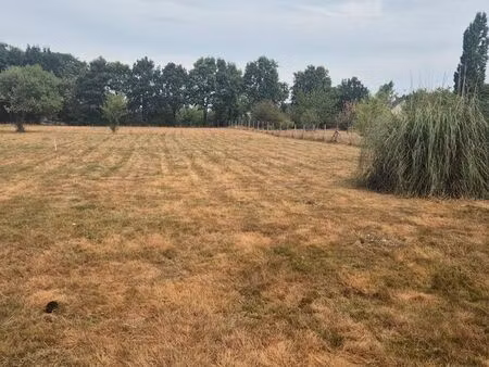 terrain sainte anne sur brivet 1764 m2