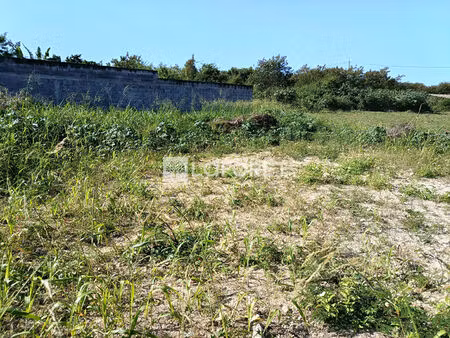terrain plat de 550 m2 constructible à saint-françois quartier prisé
