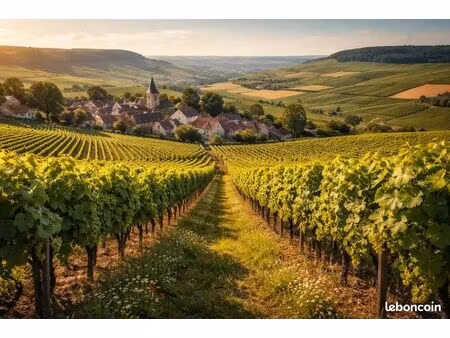 terrain 648 m² jouy les reims