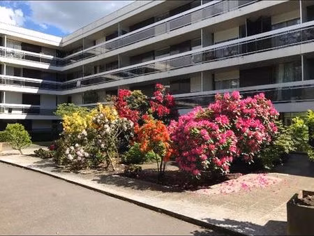 studio meublé/ petite terrasse