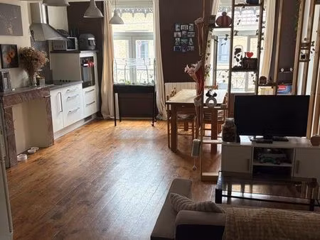 bel appartement cœur de ville